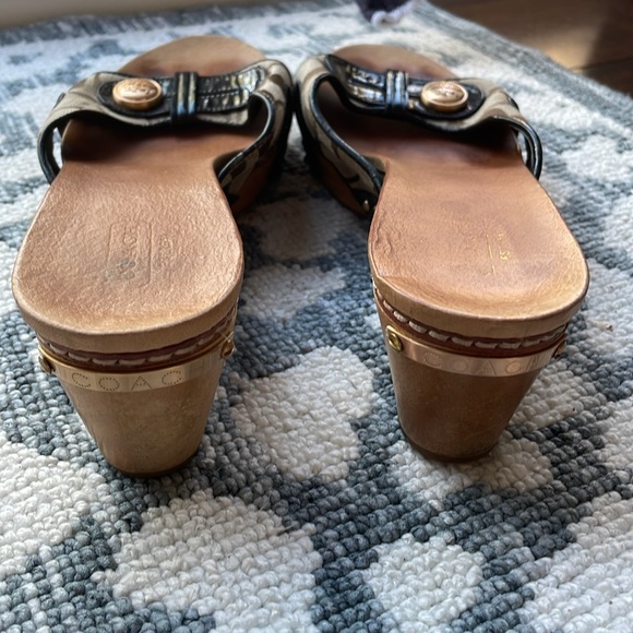 Coach slides - Picture 2 of 4